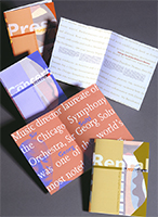 Image of a brochure.