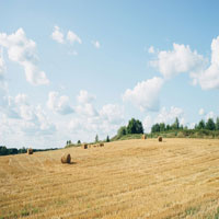 Image of haybales.