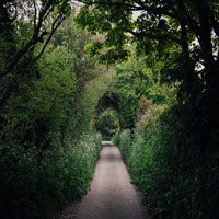 Image of a country lane.